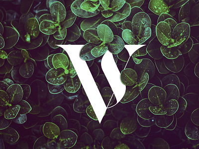 Custom VS Logo/Monogram branding logo logotype monogram simple vs