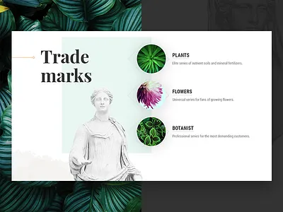 RostAgro botanist fertility flowers plants statue trade marks ui website