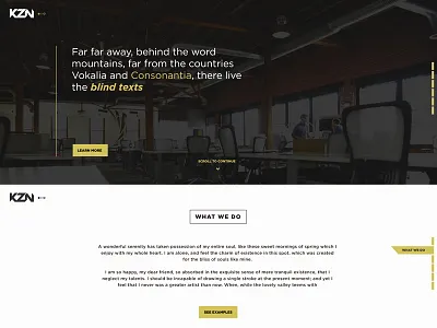 KZN Web Mock bw clean corporate design modern ui ux web