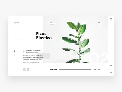 Plants Website dashboard green landing page minimal modern nature ui ux website white