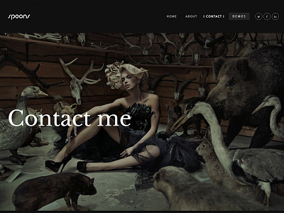 Portfolio Dark Contact page business contact page envato little neko theme themeforest ui ux web design wordpress