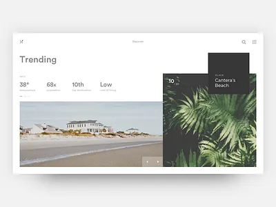 Leaf airbnb travel trip stats basic bold square regular box layout landing charts trending discover grid metrics white typography leaf leaves bold minimal ui ux interaction web site responsive page blog