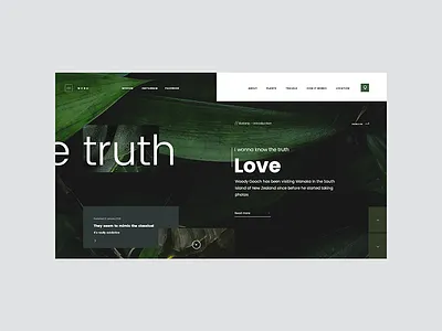 TR 2046 0302 green landing page leaf minimal ui web