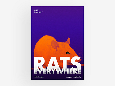 Day 063 bold daily futura graphic design mouse orange poster rat type typography