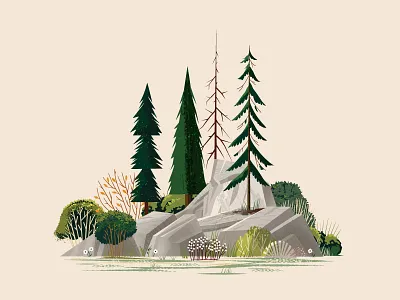 Woodsy Scene boulder flower grass leaf nature outdoors pine plants rock scenic tree