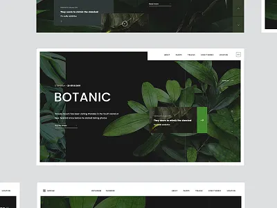 Tr 2046 0402 Drb green landing page leaf minimal ui web