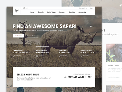 Safari Reviews dashboard financial startup informational graphic interface mobile money spent monthly graph responsive layout ui ux web website design