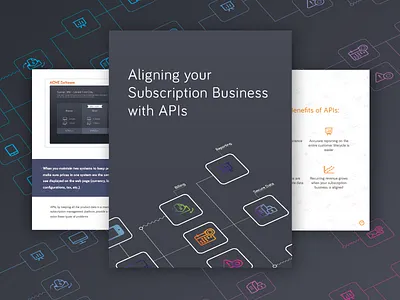 API eBook Illustration api business ebook ecommerce graphic design illustration web