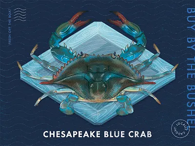 Blue Crab crab illustration local maryland poster sea seafood typography
