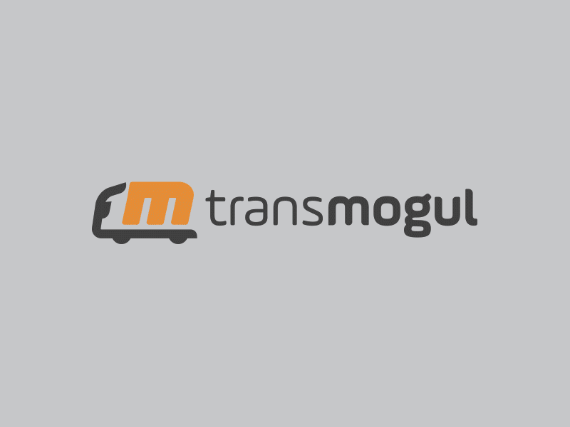 Transmogul - Brand Identity art direction brand identity brandbook branding graphic design landing page logistic logo transpost ui