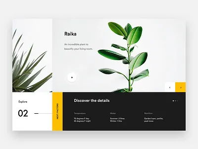 Raika Plant explore landing minimal plant product web webdesign white yellow