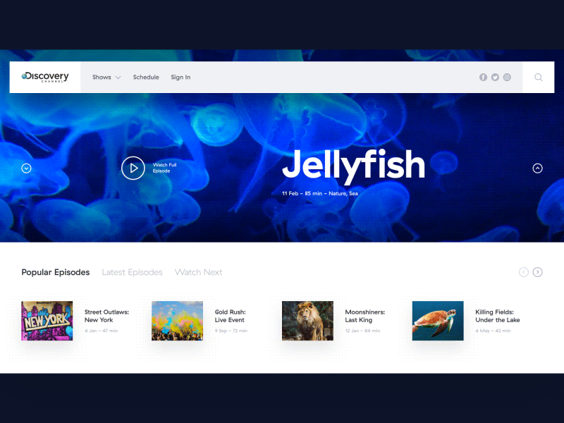 D - Discovery animation app design discovery movie tv ui ux web web design