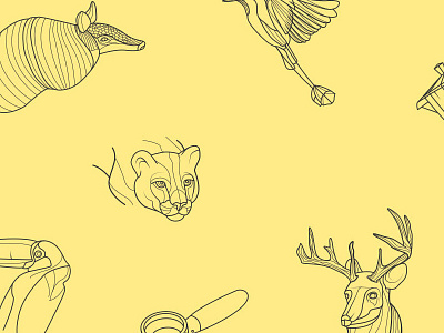 Sketching away animals branding coffee drawings graphic illustration monoline nature packaging sketches