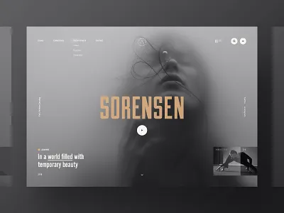 Sorensen landing simple ui web webdesign webpage website