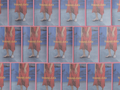 transpLAnts volume one mini zine handwriting mine zine newspaper club newsprint photo series photography transplants zine