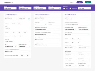 Health Care Data Entry Form data entry form health care