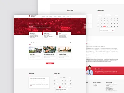 Raspenava City Webdesign clean design homepage interface landing minimal modern page ui ux web webdesign