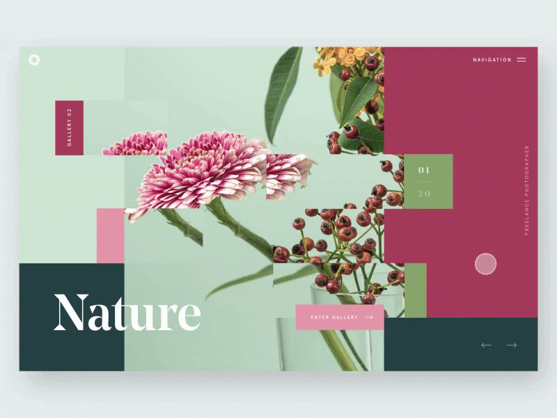 Photo Gallery Carousel Idea animation hover effect interaction photography ui ux web web design