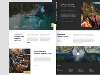 TravelPro clean interface minimal photography travel ui travelers web web design