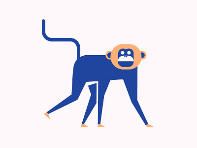 Monkey animal branding face illustration jungle logo monkey nature