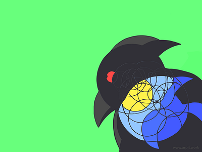 The bird and the fish bird circles fish illustration nature
