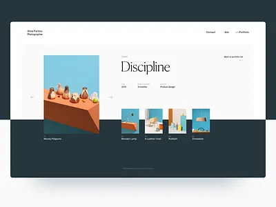 Photography Presentation Concept clean color concept flat gray interface photography showcase ui ux white