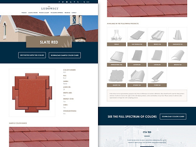 Ludowici - Initial Single Color Page Design branding colors corporate marketing minimal mockup timeline web web design