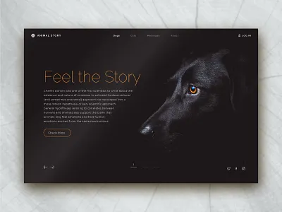 Dog Story animal app black dogs look orange. sad story web page