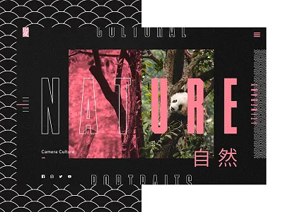 Camera Culture gallery photo site photography ui ux website