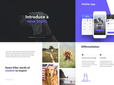 Barkyn Pitch Deck barkyn clean deck keynote minimal presentation slides whitespace