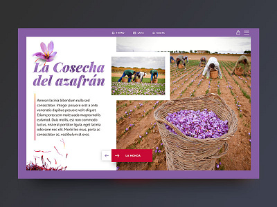New saffron ecommerce interface ui uidesign userinterface ux webdesign webdeveloper