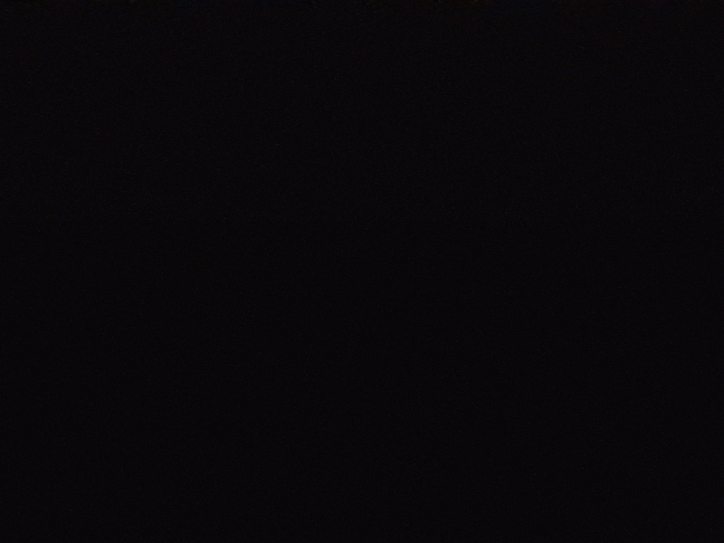 FERAL after effects animation motion typography