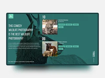 UI Experiment #6 blog experiment font free homepage landing mondrianizm ui unsplash ux website