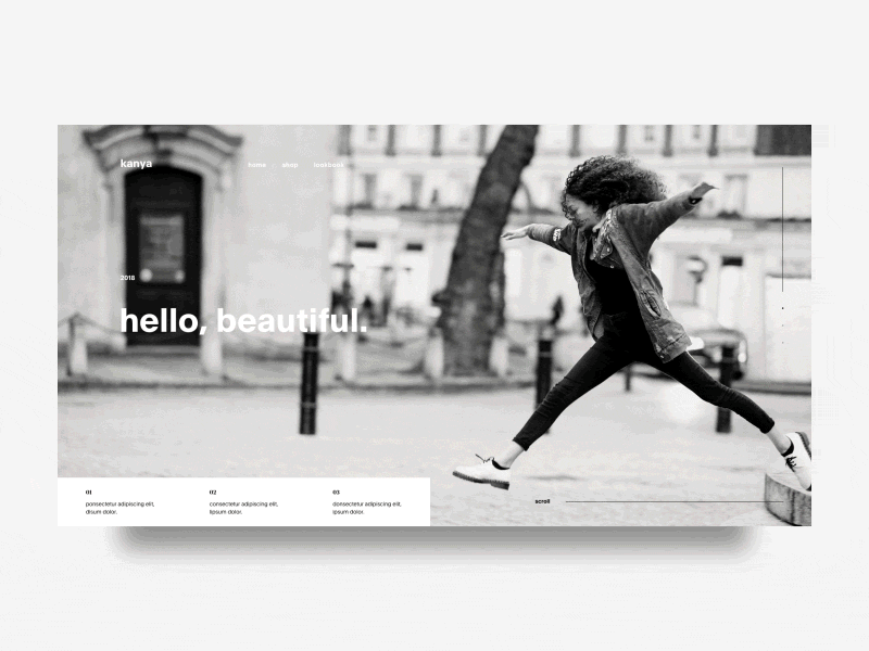 Example of Website Intro