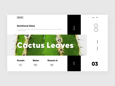 Benefits benefits black cactus dark flora giga monstera tamarashili white