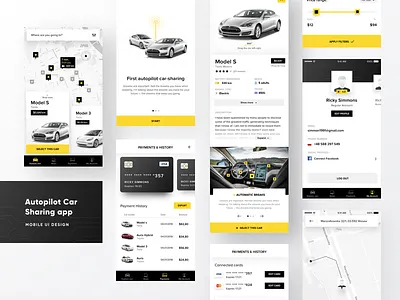 Tesla - Car Sharing App car car sharing credit card model s payments product card rental tesla ui ux