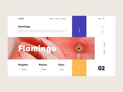 Animalia animal bird color colour flamingo giga new style tamarashili web white