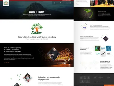 Dabur International - About us page about us clean creative ui ux web design