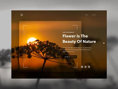 Lens Photography apple camera colour design google header nature photographer photography typography ui web