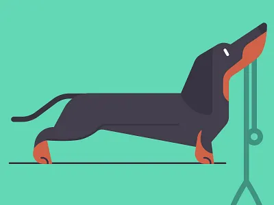 Dachshund dachshund dog pet vector walkies woof