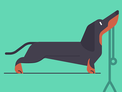Dachshund dachshund dog pet vector walkies woof