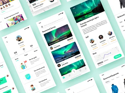 Search For Aurora Project aurora green lake light mountain north safe snow south travel trip