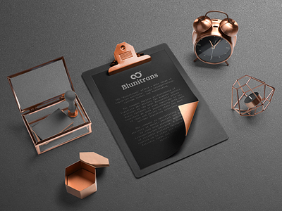 Blunitrans Branding logistic luxury premium services