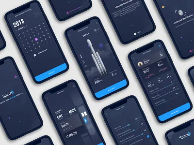 Application for the purchase of a ticket to Mars app calendar clean design interface space spaceship ui user