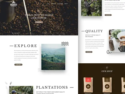 Coffee Roasters clean coffee illsutrations iteration landing ui ux website