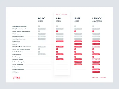 Vital marketing pricing packages section price list pricing