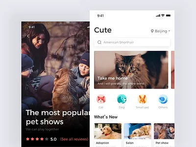 home page of Adoption app adoption cat dog pet