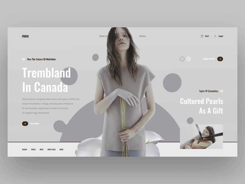FRASH Canada book design fashion interface news photo sea slide web