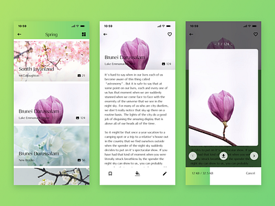 Spring flat ios spring ui