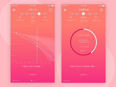 SlimU 2018 Chinese Analytic and Calories Pages analytic calorie chinese diet lb lose weight page pound slim slimu2018 中文，瘦身，减肥，健康，